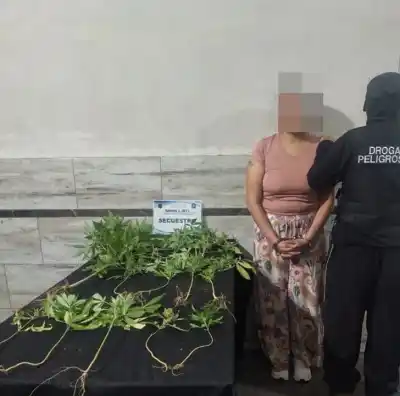 Detuvieron a una mujer que vendía drogas en el barrio San Antonio