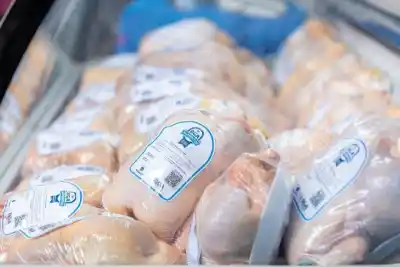 Río Grande avanza con el programa RGA Avícola y un sello para productores locales