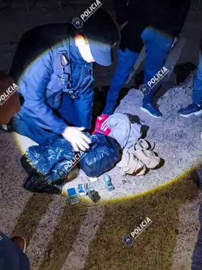 Un perro antinarcóticos detectó droga en un colectivo en Chepes