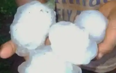Granizo y viento arrasaron las chacras de Misiones: estiman una merma del 30% en las verduras de hoja