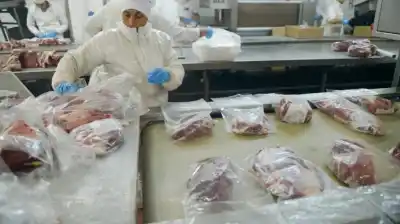 El boom de la carne argentina en EE.UU.: las cifras que explican el salto