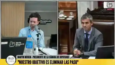 Martín Menem aseguró que "el número está" para eliminar las PASO