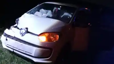 Un auto chocó contra un caballo en el bypass de Posadas: el animal murió