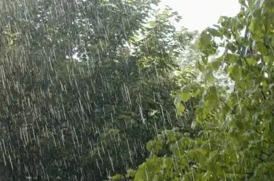 Alerta por la tormenta de Santa Rosa: el sur cordobés, en la mira