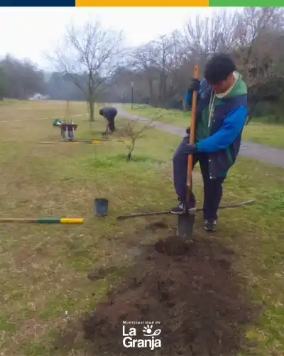 Alumnos de La Granja plantaron árboles nativos en el Parque Los Troncos