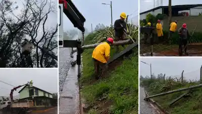 Tormenta en Misiones: refuerzan cuadrillas para reponer la luz en Roca, Santo Pipó y Corpus