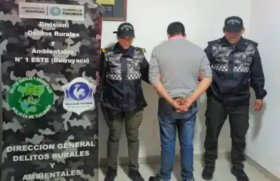 Gritos de auxilio en la noche: rescataron a una mujer golpeada y detuvieron a su pareja