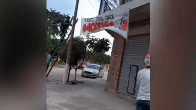 Adiós a los carteles políticos en Monterrico: aprobaron una ordenanza que los prohíbe