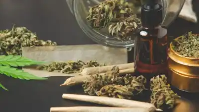 Cannabis en la adolescencia: qué le hace el THC al cerebro que aún madura