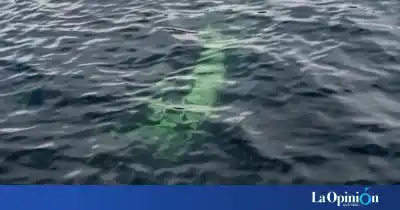 Hallan una camioneta hundida en el Lago La Plata: el dueño es de Comodoro y deberá sacarla