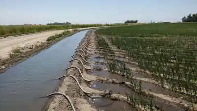 Sube el agua para riego en San Juan: qué riesgos enfrenta la vitivinicultura