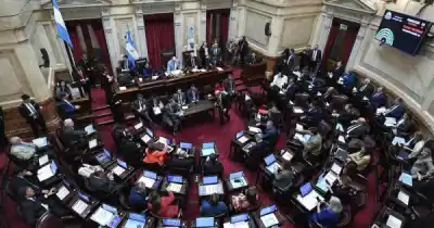 El bolsillo de los senadores: cobrarán más de $13 millones y hay una excepción en Santa Cruz