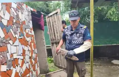 Un reptil inesperado en Monteros: la sorpresa que una familia encontró dentro de su casa