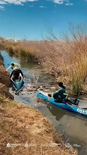 Vecinos de Isla Verde limpiaron la laguna del Ex Matadero: retiraron decenas de bolsas de residuos