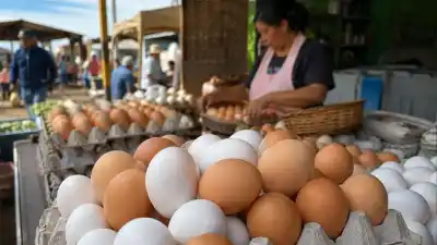 Récord de huevos en Argentina: en Jujuy un maple dura apenas una semana