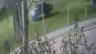Una camioneta destrozó el césped de una plaza en Río Grande y los vecinos estallaron