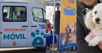 Veterinaria Móvil en Tunuyán: castraciones y vacunas gratis durante todo septiembre