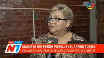 Ataque de pitbulls en barrio Borges: la familia pide justicia y que los dueños paguen los gastos médicos