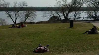 Neblina y 21 grados: el pronóstico para Rosario antes del bajón del domingo