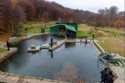 Las termas de Tolhuin, a contrarreloj: el reclamo urgente que preocupa a los turísticos