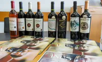 La cosecha histórica del vino pampeano: 26 medallas y tres dobles de oro en VINUS 2026