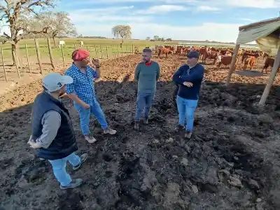 De 300 a 500 cabezas cada 60 días: la recría intensiva que transformó un campo correntino