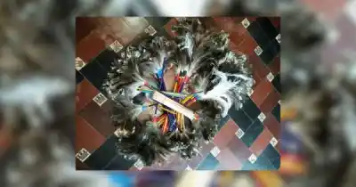Plumeros con plumas de aves protegidas: la pista clave para saber si su venta era legal