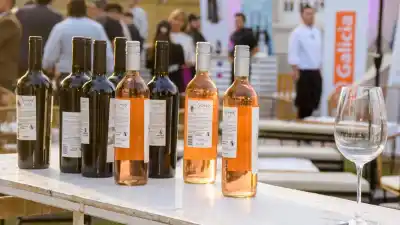 Preventa a $15.000 para la Feria Enogastronómica de la EVISAN 2026