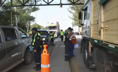 Detectan dos casos de brucelosis en Jujuy: refuerzan controles para frenar quesos sin control