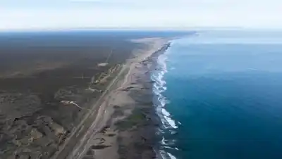 Cinco especies de tiburones en peligro aparecieron en el Golfo San Matías