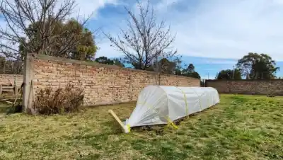 Jóvenes de La Casita de Viedma aprenden a producir sus propios alimentos en un microinvernadero