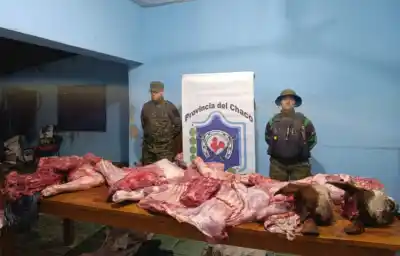 Abigeato en General Capdevila: cayeron cuatro con 280 kilos de carne y un auto