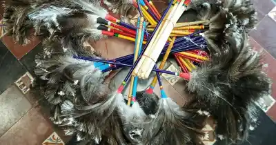 Secuestraron más de 50 plumeros hechos con plumas de choique y ñandú en Maipú