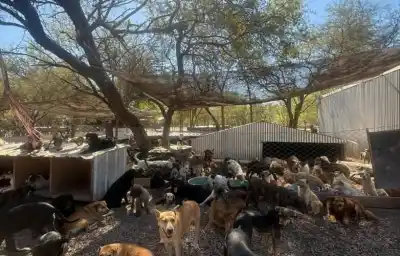 Tras la muerte del Polaco, El Montecito confirmó cómo sigue el cuidado de sus animales