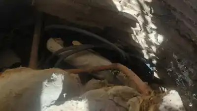 Atacaron a palazos la gruta de la Virgen de Lourdes en Centenario