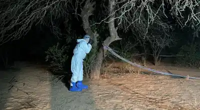 El domingo que terminó en el monte: qué reveló la escena del doble crimen de 7 de Abril