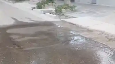 Un mes de desperdicio: El enorme charco que inunda un barrio de Guaymallén y nadie repara