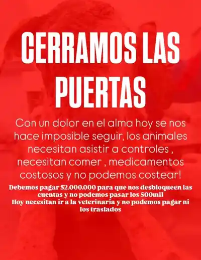 Una deuda millonaria deja al borde del colapso a los rescatistas de animales de Corrientes