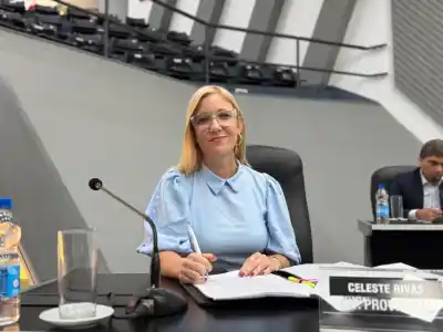 Bullying en La Pampa: proponen que los padres de los agresores enfrenten sanciones judiciales