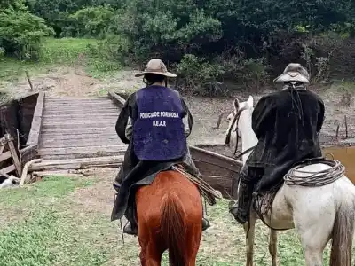 Patrullas a caballo en los campos de Formosa: el operativo que frenó el robo de ganado