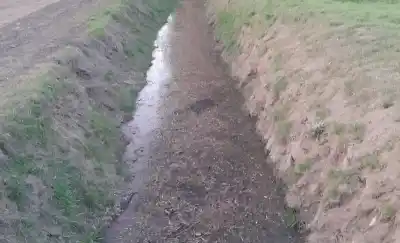 Un canal de desagüe en Macachín se convirtió en foco de contaminación cloacal