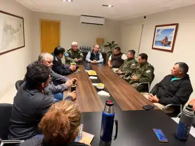 Los cuatreros paraguayos cruzan el Paraná y se llevan la hacienda: la jugada conjunta para frenarlos