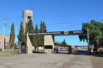 Hasta 50% menos: los sábados en que el Mercado Concentrador abre para familias