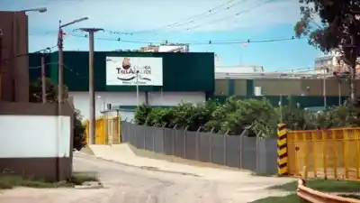 El gremio desmiente a Tres Arroyos: “El sector avícola no está en crisis”