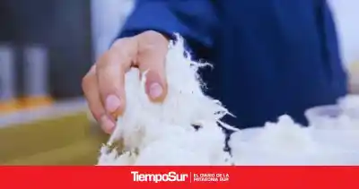 Ya se monitorea online la calidad de la lana: cómo le saca provecho el productor
