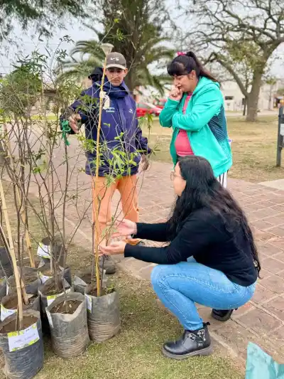 Día del Árbol en Arroyito: entregaron gratis árboles, plantines y leña a los vecinos