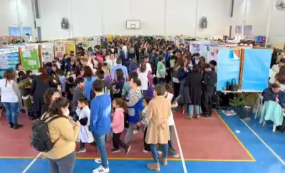 Seis proyectos de Matemática, cuatro de Arte y nueve de Ciencias y Tecnología: la delegación pampeana que competirá a nivel nacional
