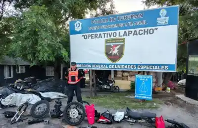 Motocicleta desarmada y oculta en encomiendas: el insólito hallazgo en un control rutinario