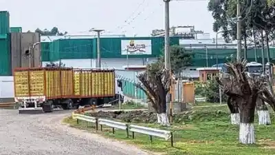 Cierres y suspensiones en tres provincias: la crisis avícola que ya no tiene fronteras