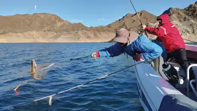 Arrancó la veda en los diques sanjuaninos: cuáles siguen habilitados para la pesca